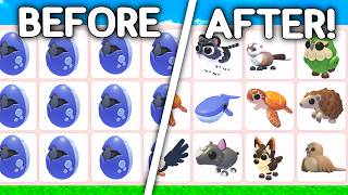 I Opened EVERY PET in ENDANGERED EGGS Before They Leave! screenshot 3