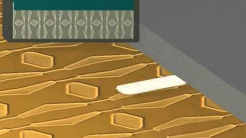 CAI Cantilever Arrays For Large Area Surface Imaging