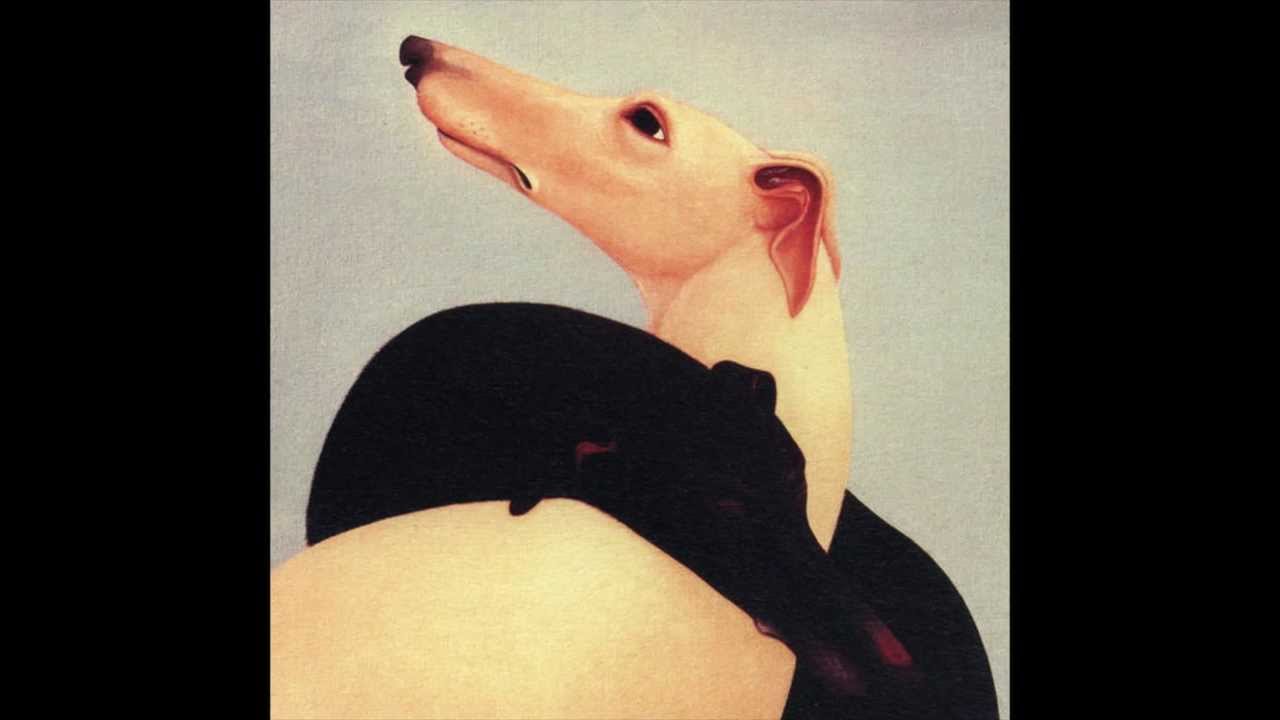 Piano Magic feat. Vashti Bunyan - Dark Ages akkoorden
