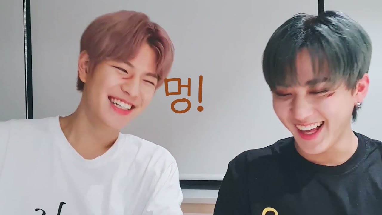 [Straykids] 사랑할 수밖에 없는 김승민 모음 (스키즈네 댕댕이🤎)