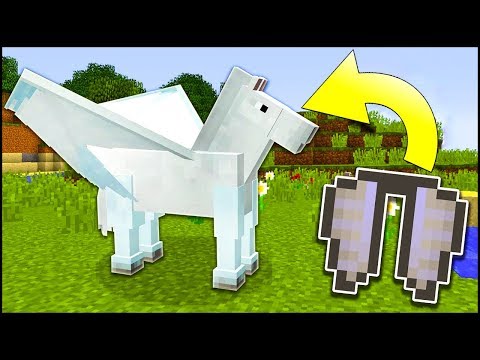 Vídeo: Com Fer Un Cavall A Minecraft