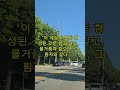 나는 누구인가- 기억이 나룰 먼든다! #붓다의가르침 #자기수행 #명언 #부처님말씀 #좋은글 #마음의소리로쓰는글 #인생조언 #마음공부