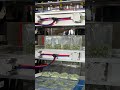 Fully automatic multi lane spice granule ffs machine #packagingmachine #machine