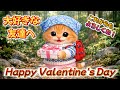 【AI子猫ピコ】手作りバレンタインチョコ “ありがとう” を形にした日！