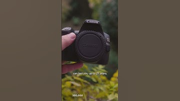 How Many Actuations Do They Have? Canon 6D or 250D (Rebel SL3)