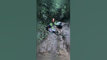 pendaki pingsan dan kesurupan#trending #trendingshorts #pendaki #viral #viralshort #shorts #fyp
