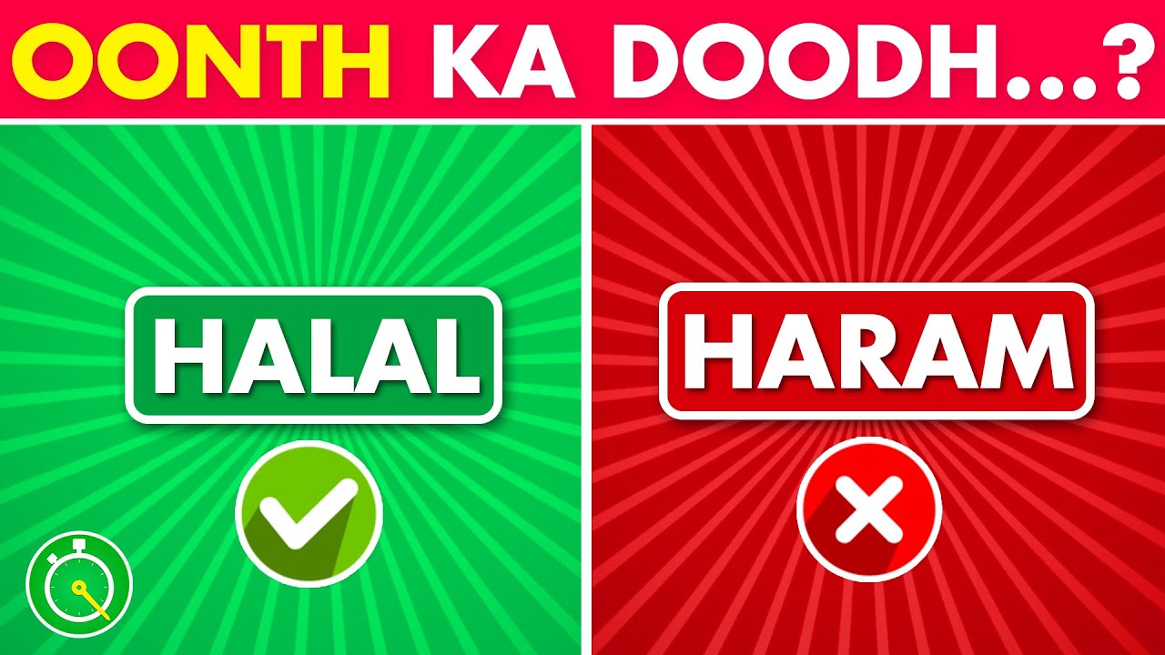 Halal or Haram Quiz Challenge ✅❌ in Hindi/Urdu | Islamic Quiz