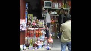 20090521 Shanghai - Market; Zhangjian Hi Tech Park Video 16