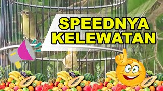 JOS PERDETIK YANG DENGER PASTI EMOSI