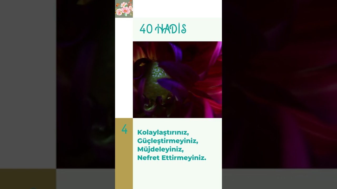 40 Hadis / Güzel Sözler /Kolaylaştırınız, güçleştirmeyiniz, müjdeleyiniz, nefret ettirmeyiniz