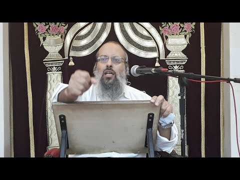 פרשת לך לך | מהות המלך | הכרת האמת הפנימית