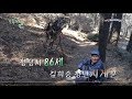 [한네트워크/초록의자] 정령치 86세 김희승 청년지게꾼