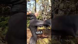 How Ninjas Climbed Trees Fast‼ How Ninjas Climbed Trees Fast‼