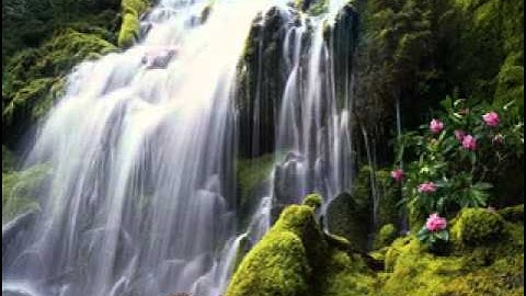 تلاوة خاشعة للشيخ خالد عبد الجليل -خواتيم سورة الإسراء