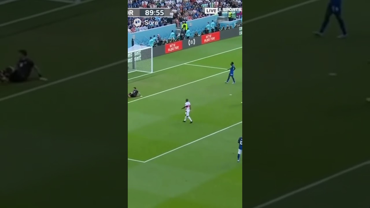 Dog Interrupts Football Match and Steals the Show! 🐕🔥⚽