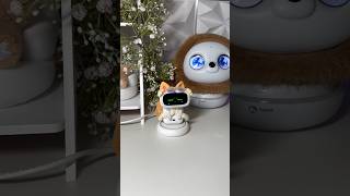 Робот Aibi хочет на прогулку и расстраивается, если не берем его с собой#робот #Айби #Эйби #шагометр