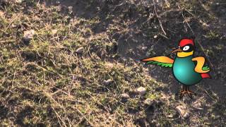 RUCOLANDIA - La Ruta de los Manantiales - Etapa 4: La Vega