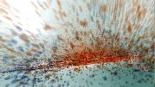 Implode
