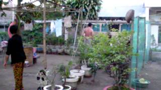 SANY0709