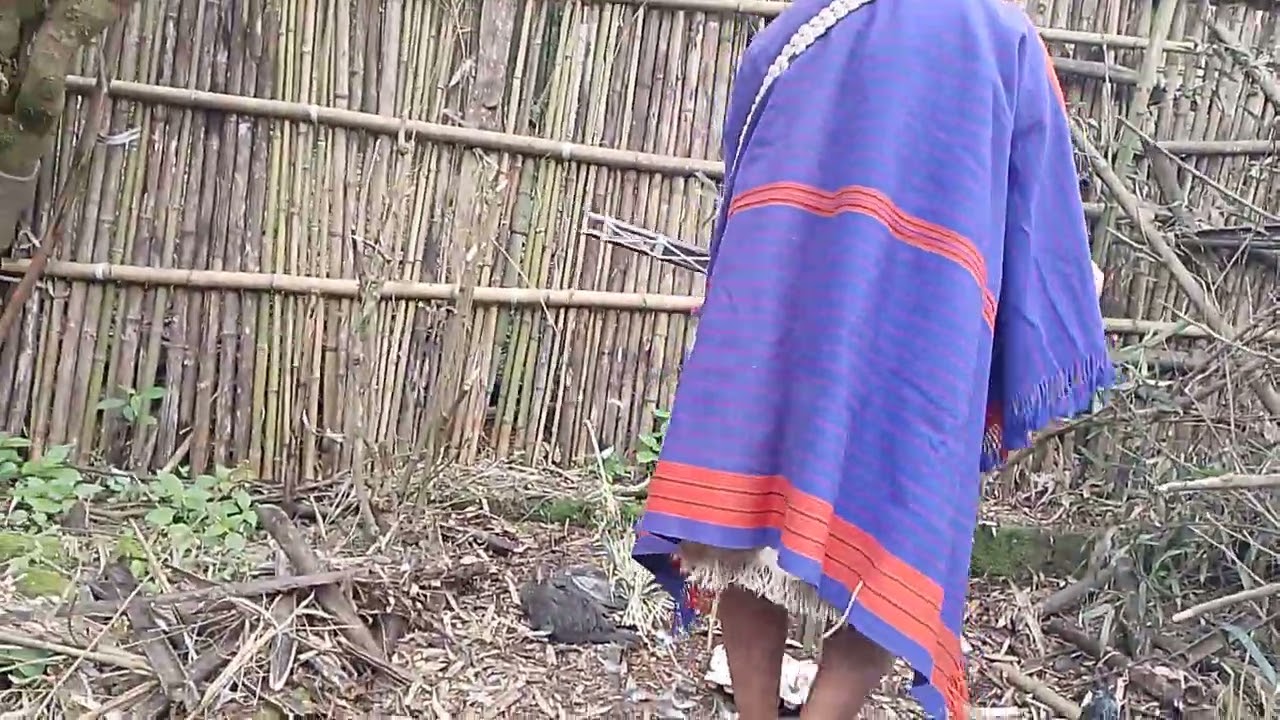 Apatani ritual: Hilo pado 