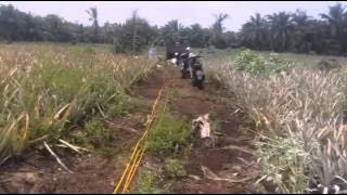 Dj.REZA Denpasar Moon By Merry Andani