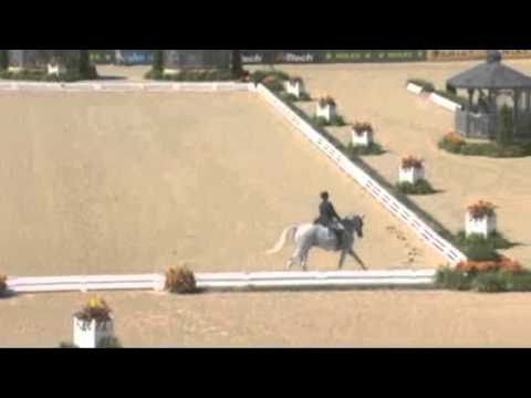 Courageous Comet & Rebecca Holder WEG 2010 Dressage Phase