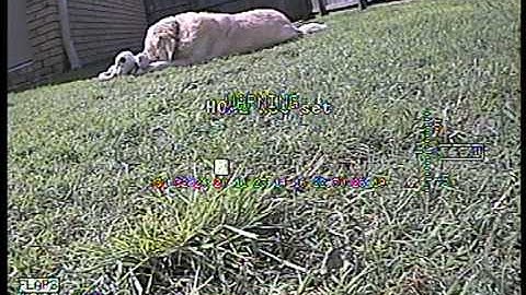 DOSD+ Flap demonstration