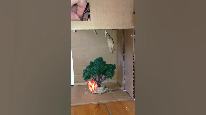 tree on fire