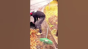 A clever way for a handyman to clean gutters that are completely blocked by leaves #shorts