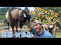 2024年初夏　やんちゃな『ケビン ファミリー』