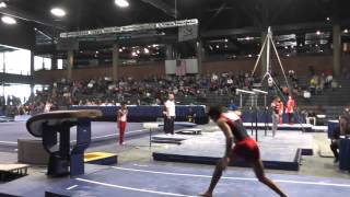 Akash Modi - Vault - 2013 Winter Cup Prelims