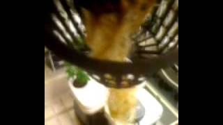STG #4 New Series Testing Organic liquids A & B Plants in HYDRO