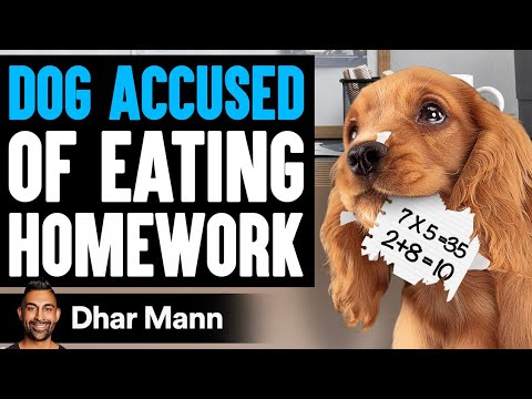 KID Says DOG ATE His HOMEWORK, He Lives To Regret It | Dhar Mann