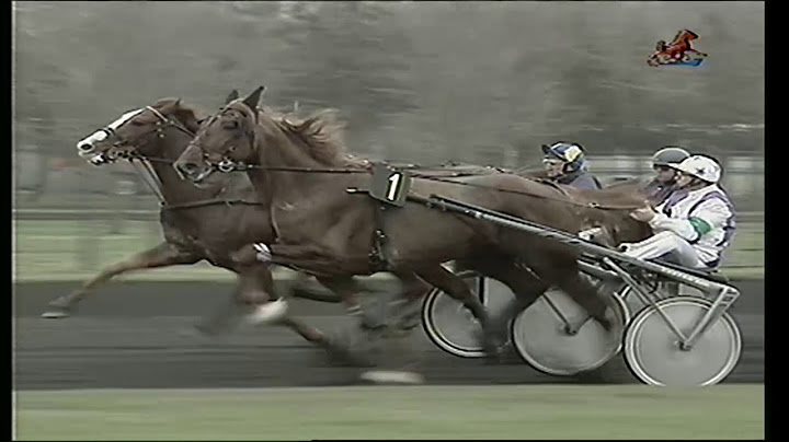 1993 PRIX D'AMERIQUE - LA COURSE -  QUEEN L