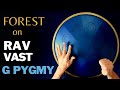 Forest composition played on rav vast g pygmy originally composed for rav vast a integral