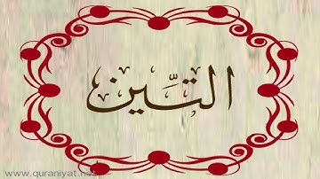 الشيخ محمد البراك - سورة التين