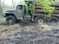 лесовоз урал в болоте 3  timber carrier URAL in a marsh