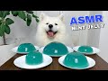 Dog Eating Mint Jelly From Genshin Impact (ASMR) I MAYASMR