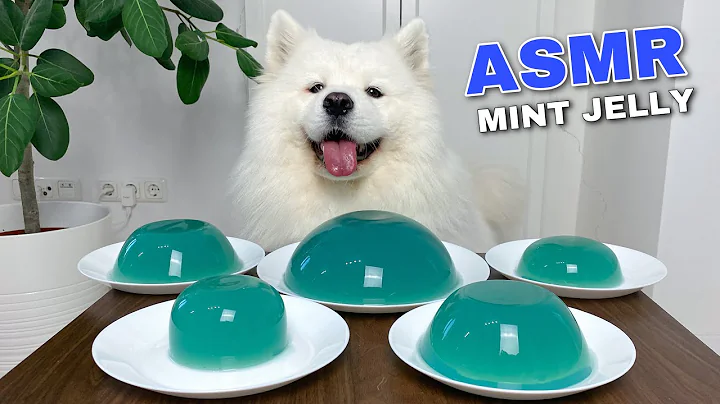 Dog Eating Mint Jelly From Genshin Impact - DayDayNews