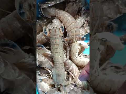 انت ايه ياعم الحج