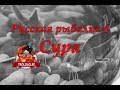 Русская рыбалка 4 Смотрим как дела на суре  Ловить надо на выползка!!!