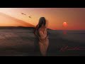 Maeta Through The Night Instrumental Maeta Through The Night Instrumental