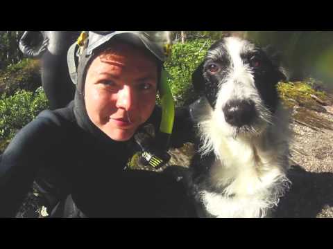 Vuelo en helicóptero y snorkel en la Laponia sueca