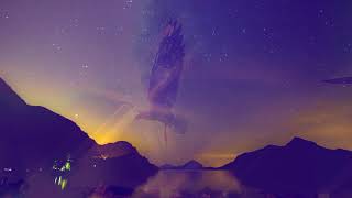 Jax Jones - House Work ft. Mike Dunn, MNEK alternative video bird flying universe - house music jack