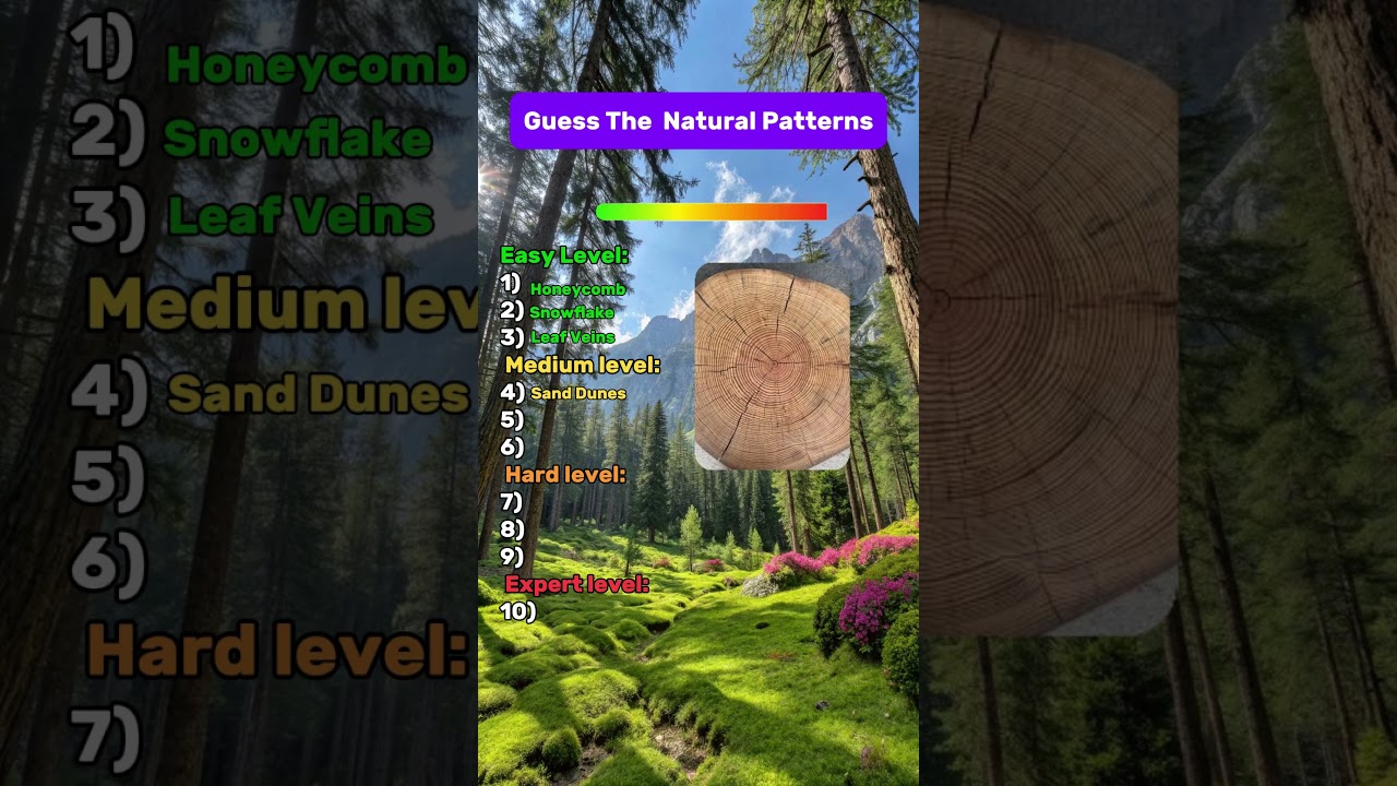 Can you beat this pattern recognition challenge? 