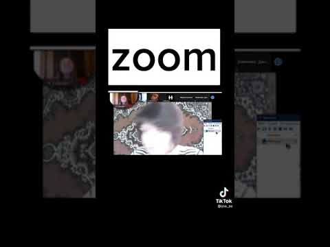 Приколы на онлайн уроке в Zoom