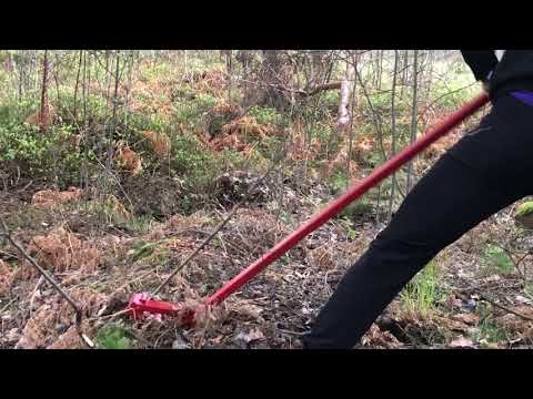 Video: Hur Man Infunderar Hagtorn