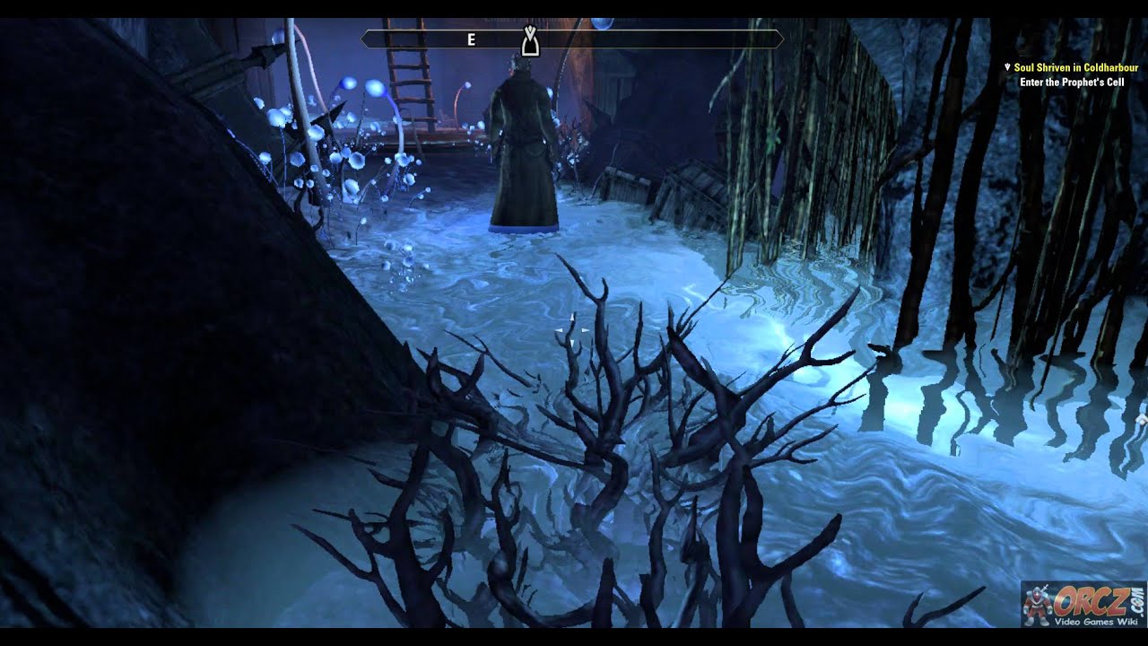 The Elder Scrolls Online: Soul Shriven In Coldharbor - Through the Undercroft to the Prophet