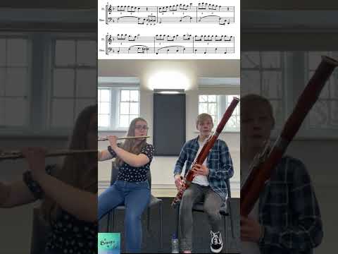 Evanesco Duo -